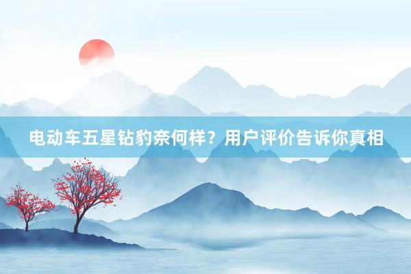 电动车五星钻豹奈何样？用户评价告诉你真相
