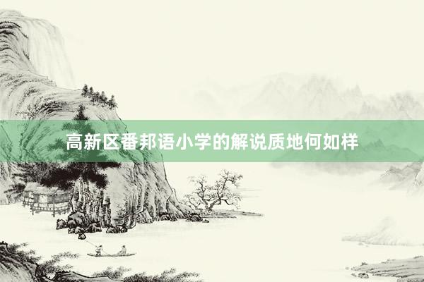 高新区番邦语小学的解说质地何如样