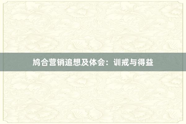 鸠合营销追想及体会：训戒与得益