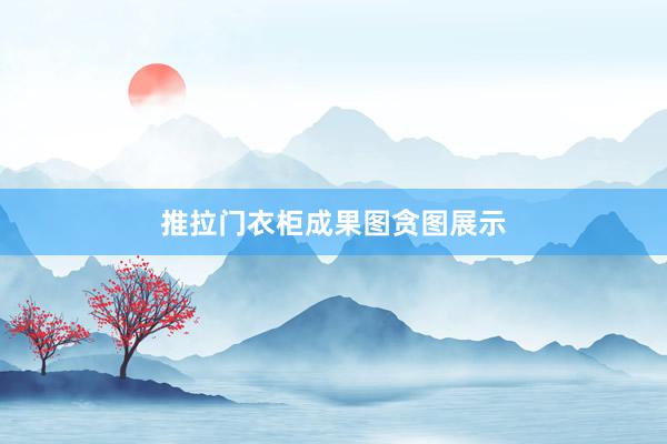 推拉门衣柜成果图贪图展示